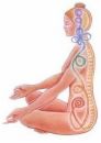 [kundalini1.jpg]