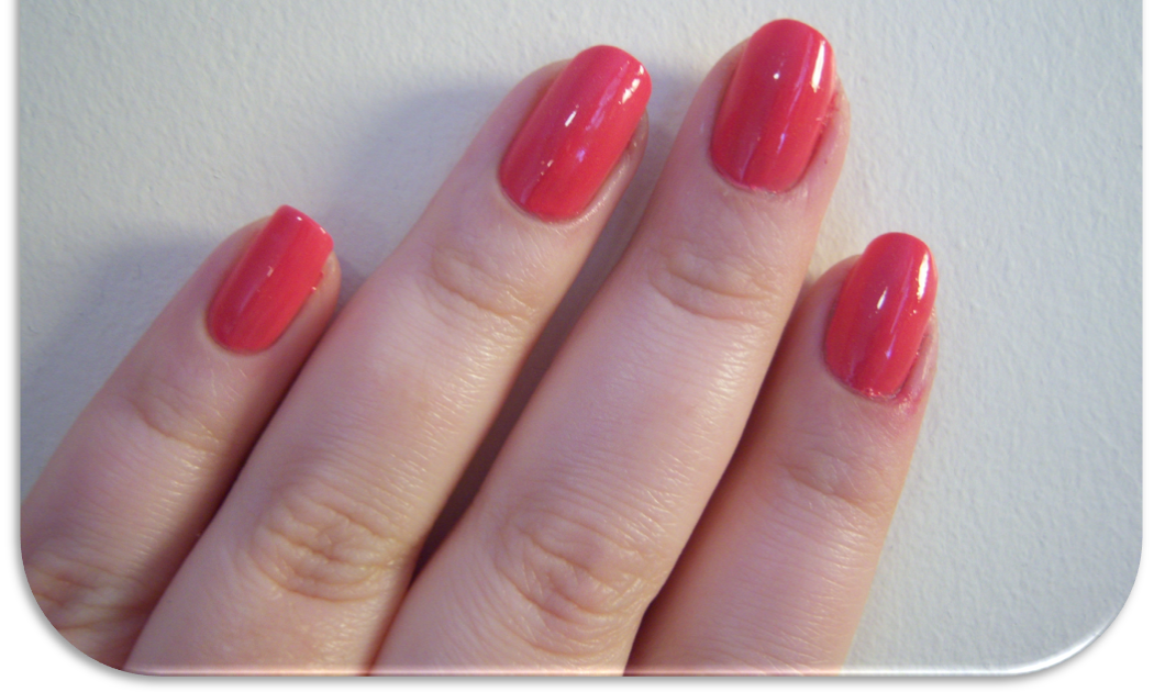 kimtopia notd kimtopia notd
