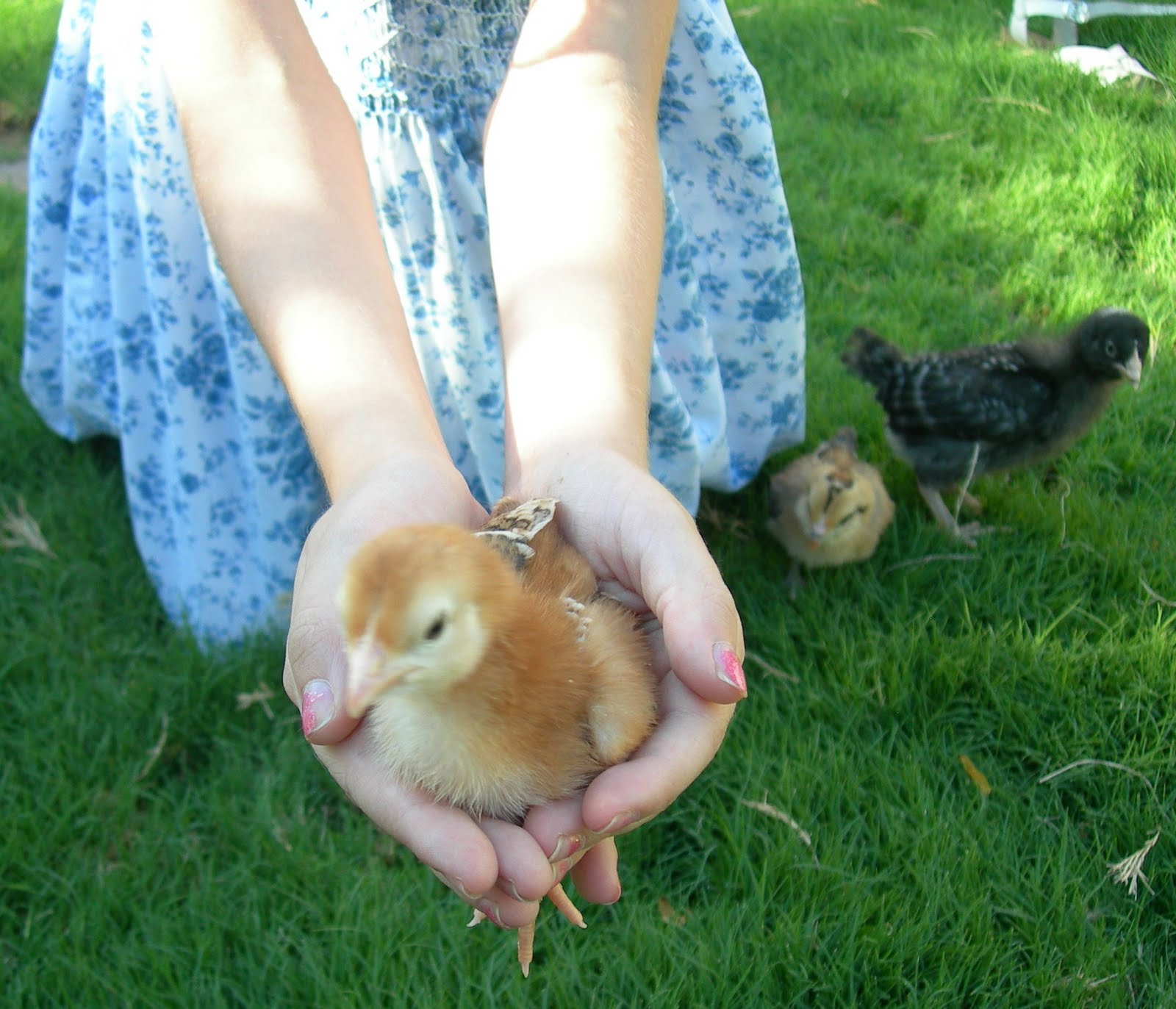 This Gal's Take On Things October 2010