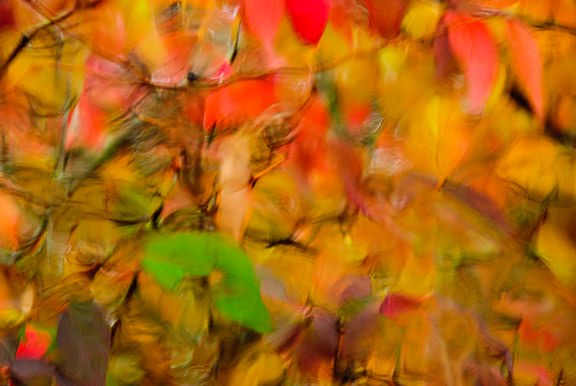 [Blog_20081105_2.jpg]