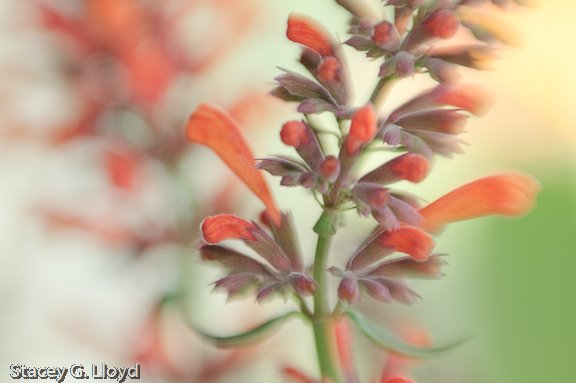 [Blog_20090706_2.jpg]