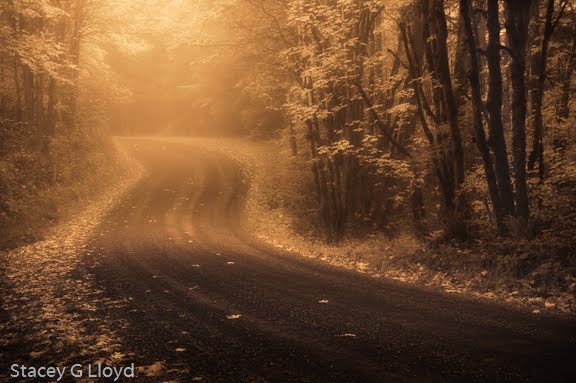 [Blog_20091021_1.jpg]