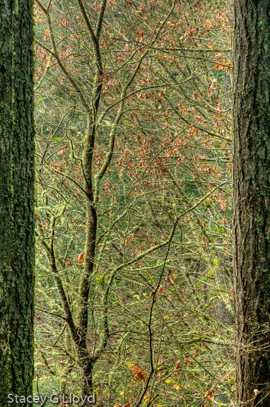 [Blog_20091130_3.jpg]