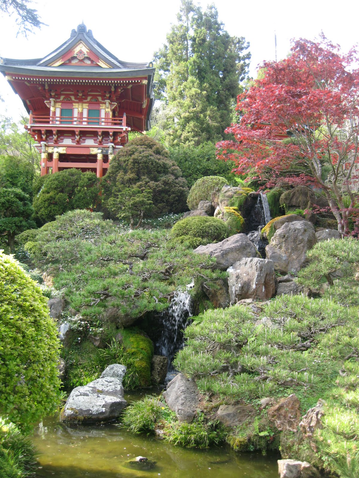 School For Us Japanese Tea Garden (Day 5 SF trip)