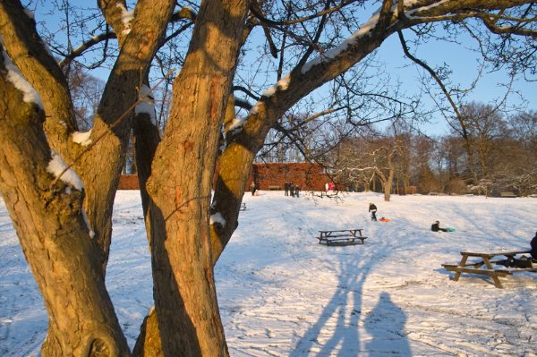 [Derevo+na+solnze.jpg]