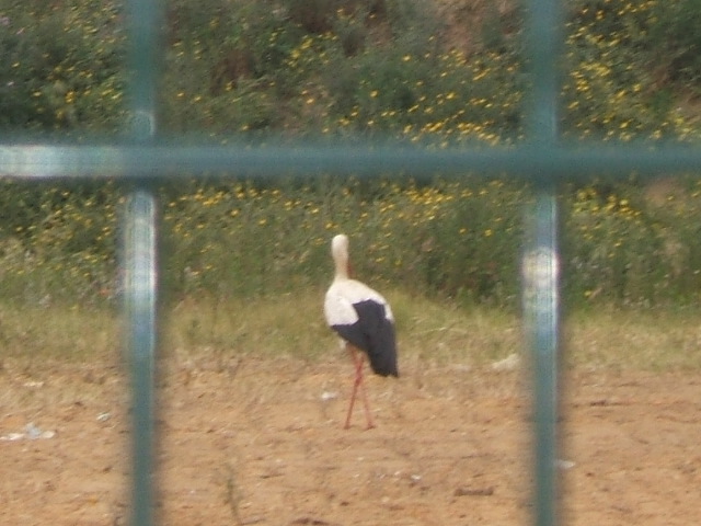 [DSCF3643.JPG]