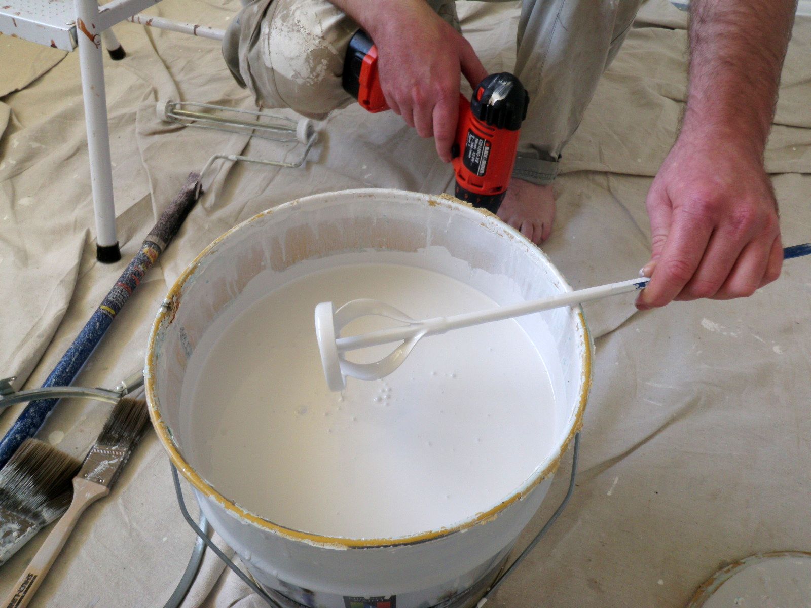 Jarrah Jungle August 2010