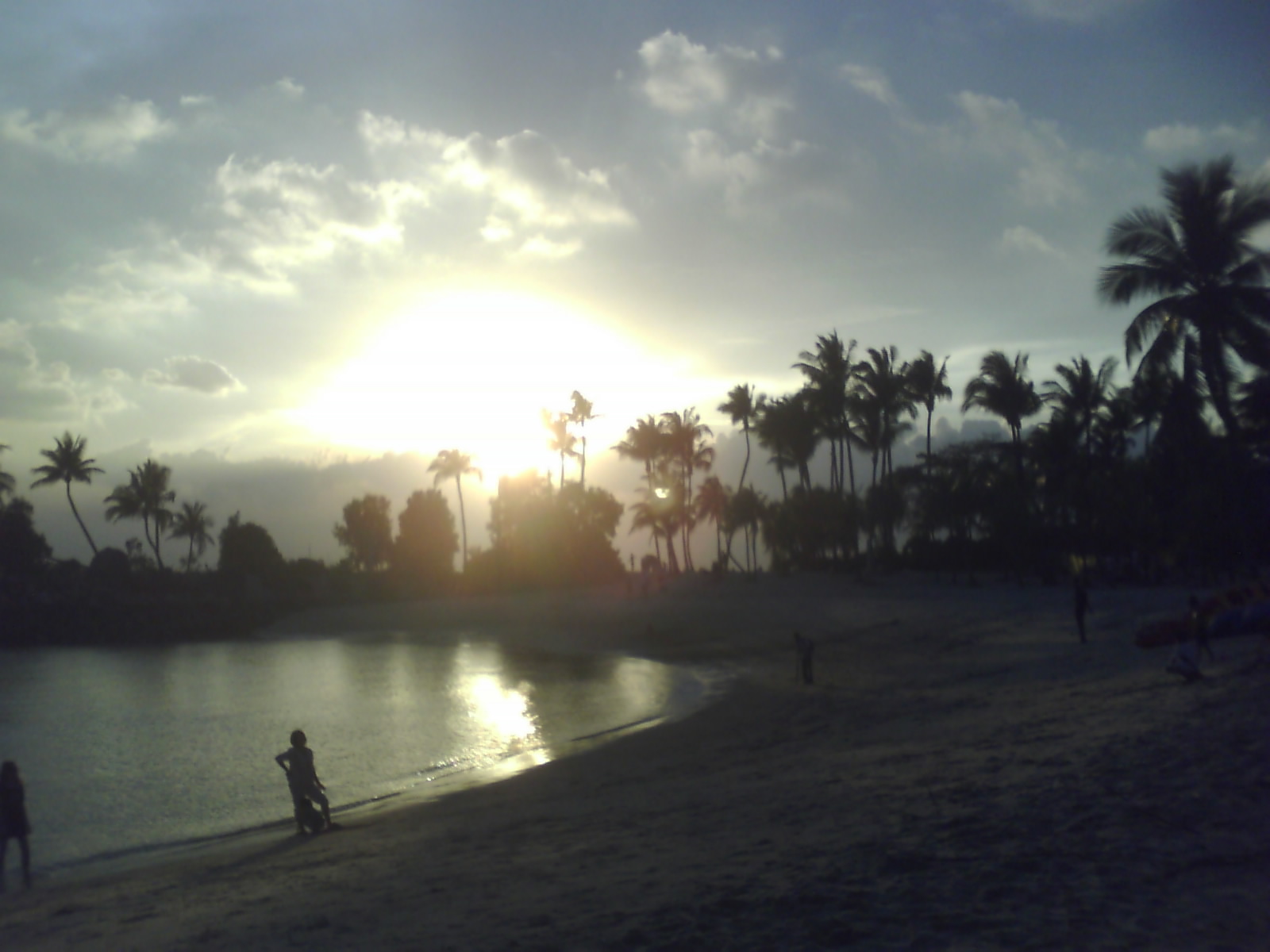 [Photo_0016.jpg]