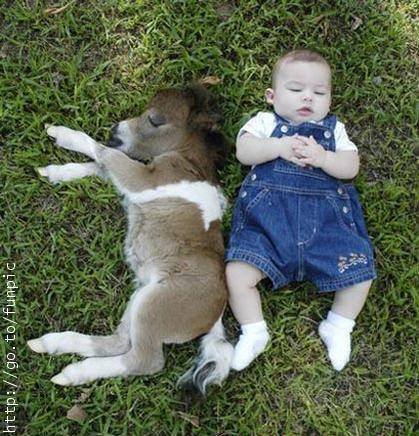 The Cute Side of Politics