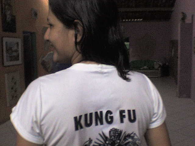 kung fu
