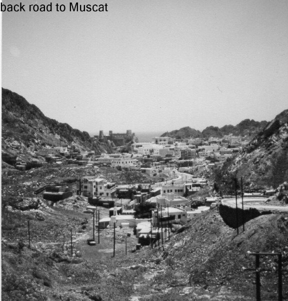 [n605694903_186359_6380.jpg]