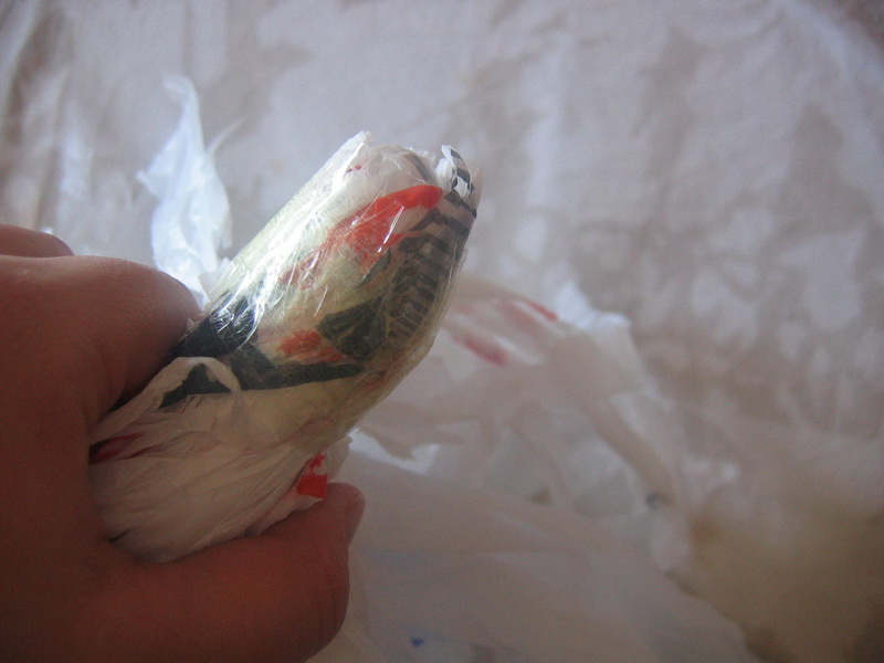 [IMG_5401_resize.JPG]