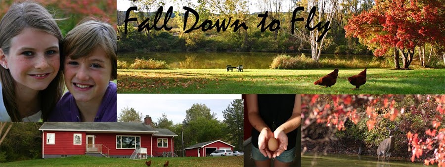 Fall Down to Fly