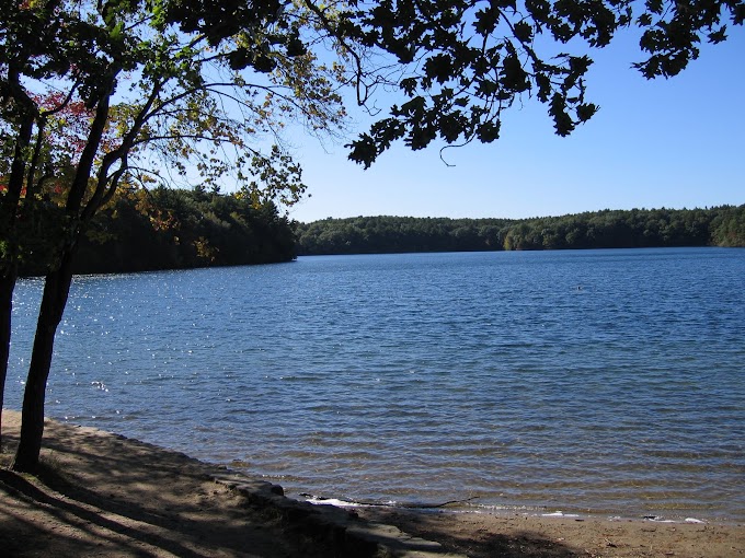 at Walden Pond