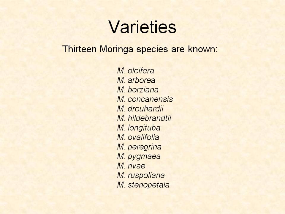 [Slide5.JPG]