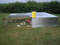 Chickentractors Net