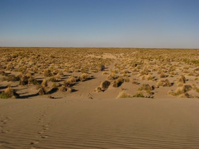 [IMG_1766.JPG]