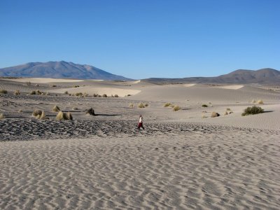 [IMG_1789.JPG]