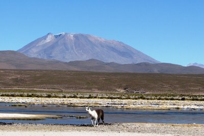 [IMG_0984.JPG]