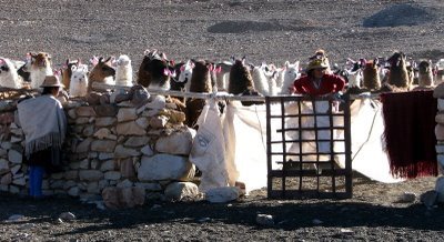 [IMG_1143.JPG]