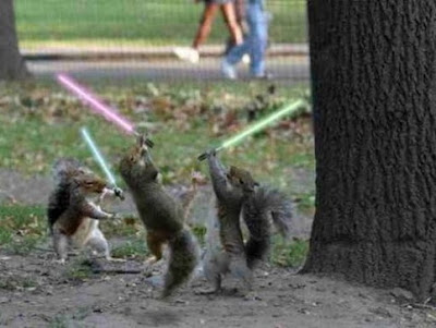 Jedi+Squirrels.jpg