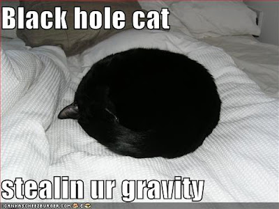 funny-pictures-black-hole-cat-steals-your-gravity.jpg