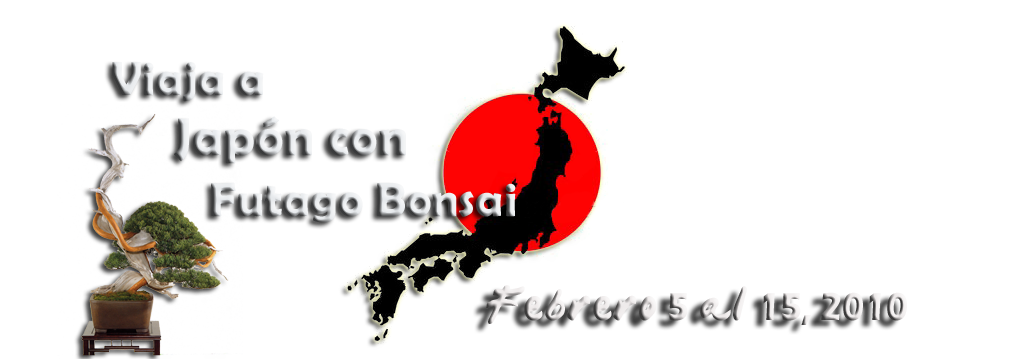 Viaja a Japón con Futago Bonsai