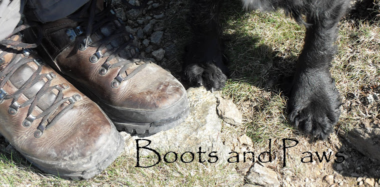 Boots and Paws