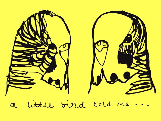 a little bird told me...
