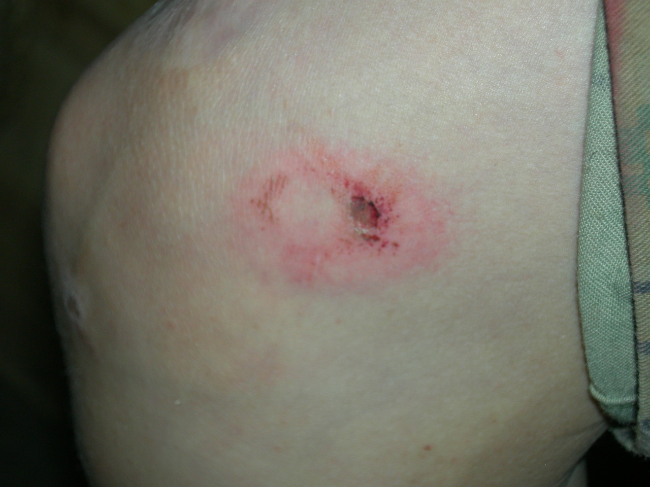 Paratus Familia Blog Paintball Anyone?