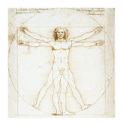 El hombre de Vitruvio es un estudio de las proporciones del cuerpo humano, . (hombre de vitruvio)