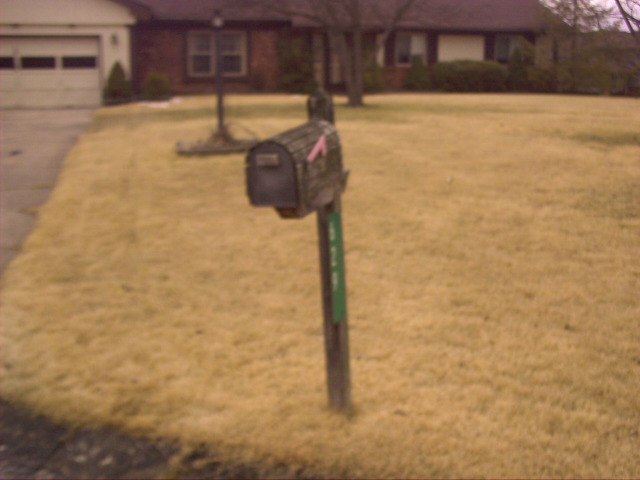 Winter 2008