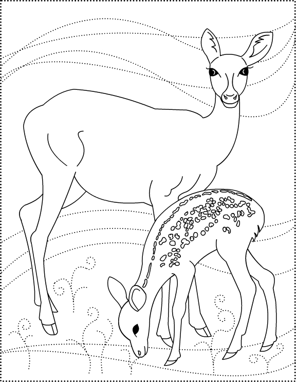 Dear to me! Deer * coloring pages title=