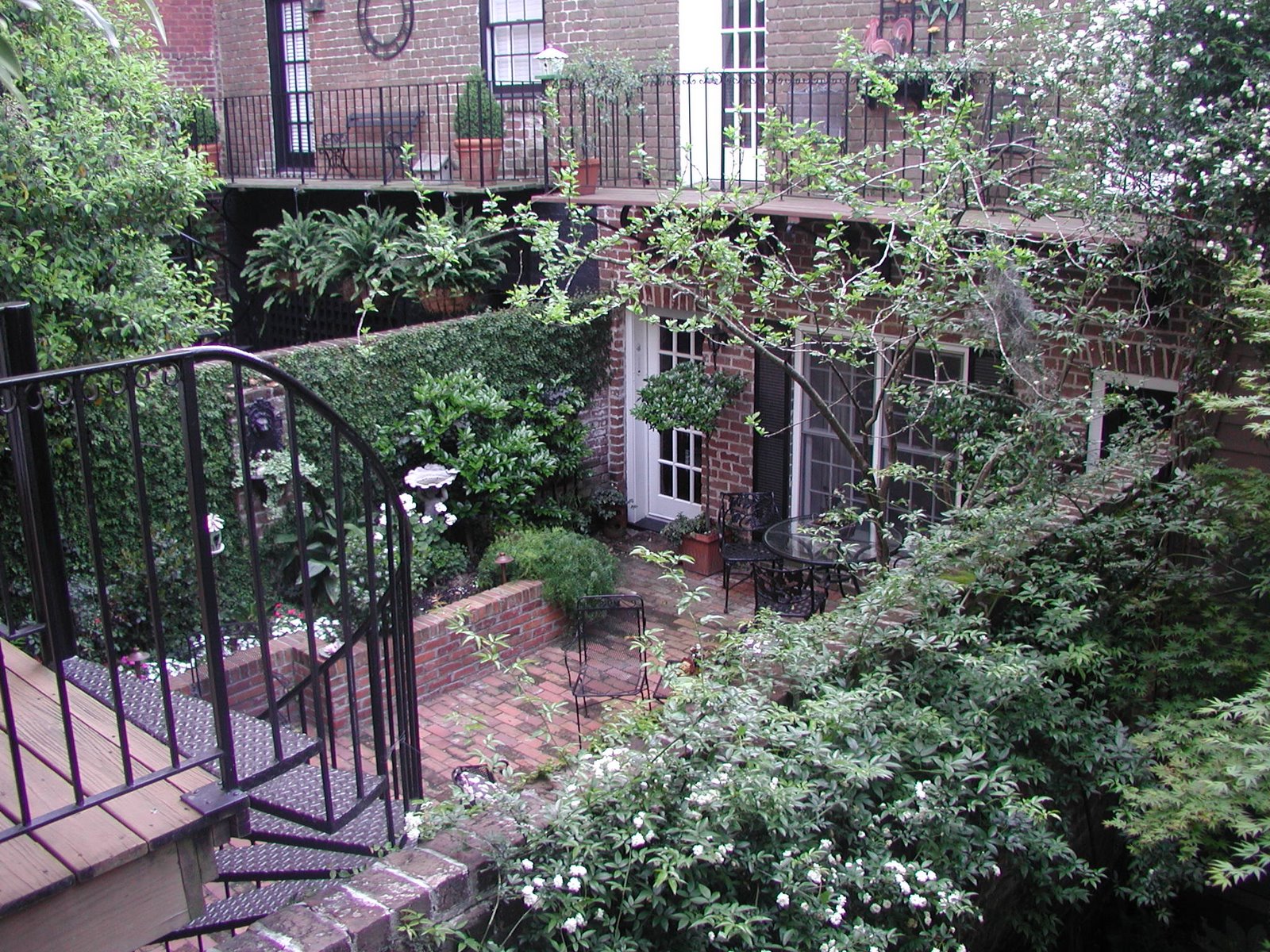[Savannah+2009+039.JPG]