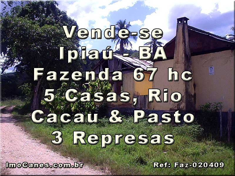 [Fazenda,Itiau,Bahia,Vende-s.jpg]