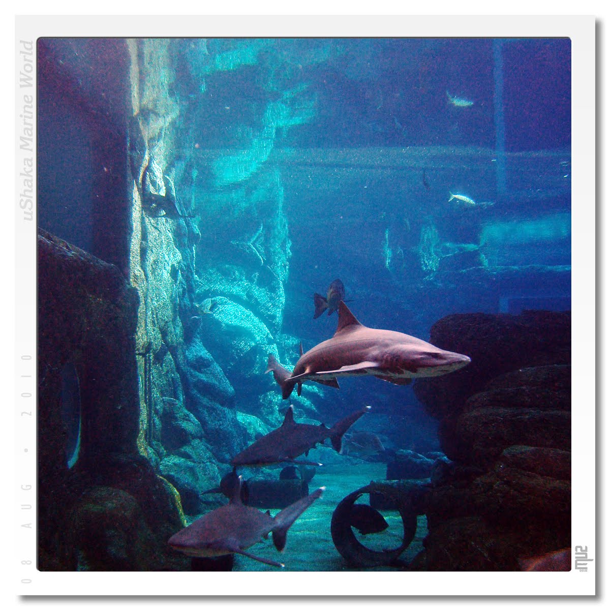 Ushaka+marine+world+rides