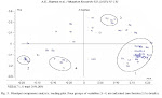 Copenhagen-Genotoxicity, inflammation and physico-chemical properties of fine