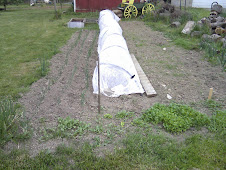 Recycled row cover