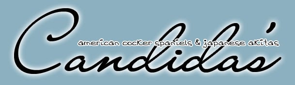 Candida's - blog