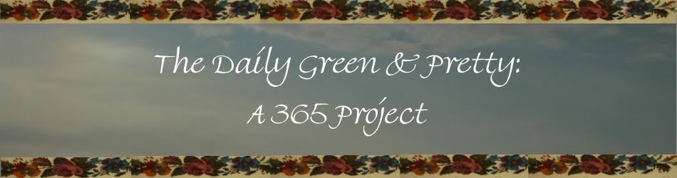 365 Project