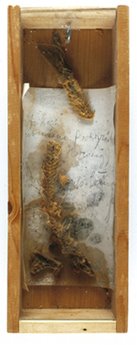 [IaGebratene-fischgräte-JB.jpg]