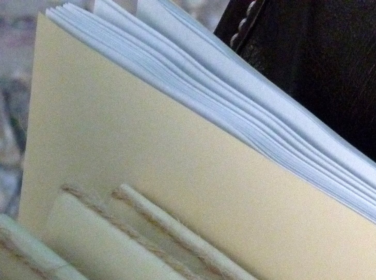 [P1010860.JPG]