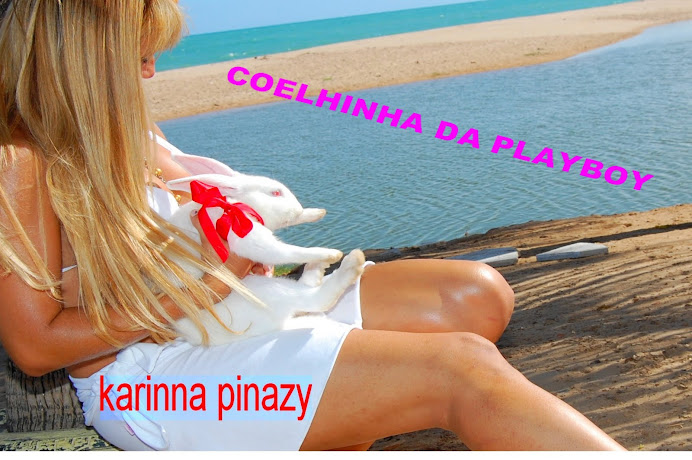 COELHINHA DA PLAYBOY