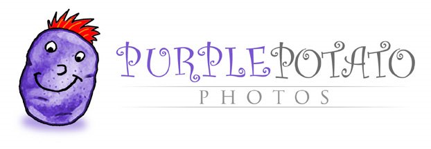Purple Potato Photos