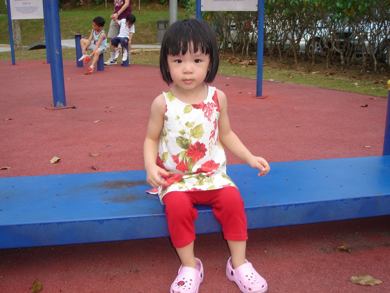[DSC01022.JPG]