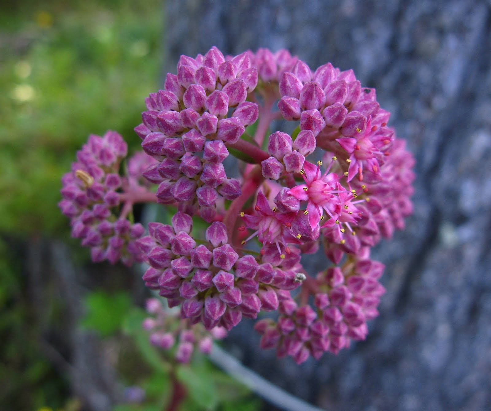 Saratoga woods and waterways A Lazy Afternoon and a Big