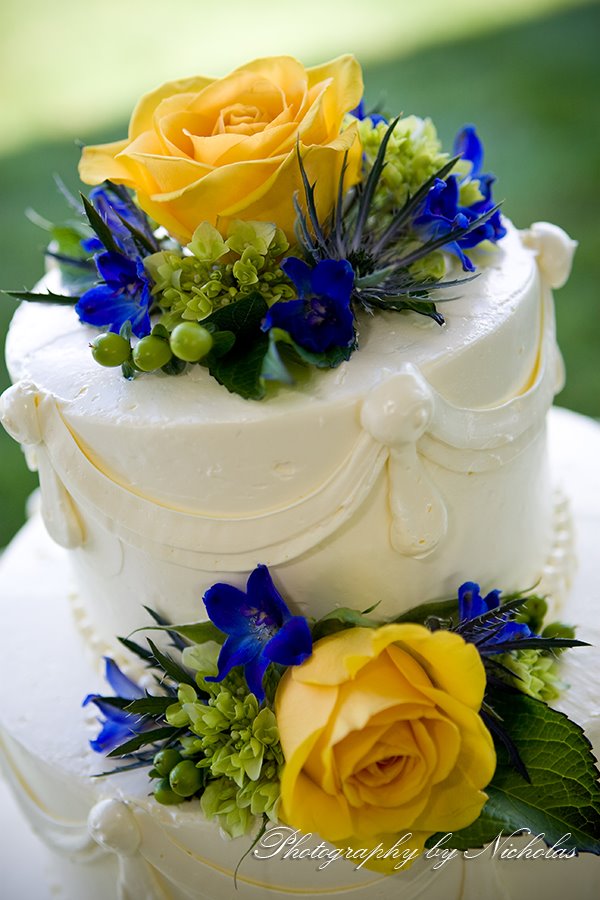 [20080809_6233+copy.jpg]