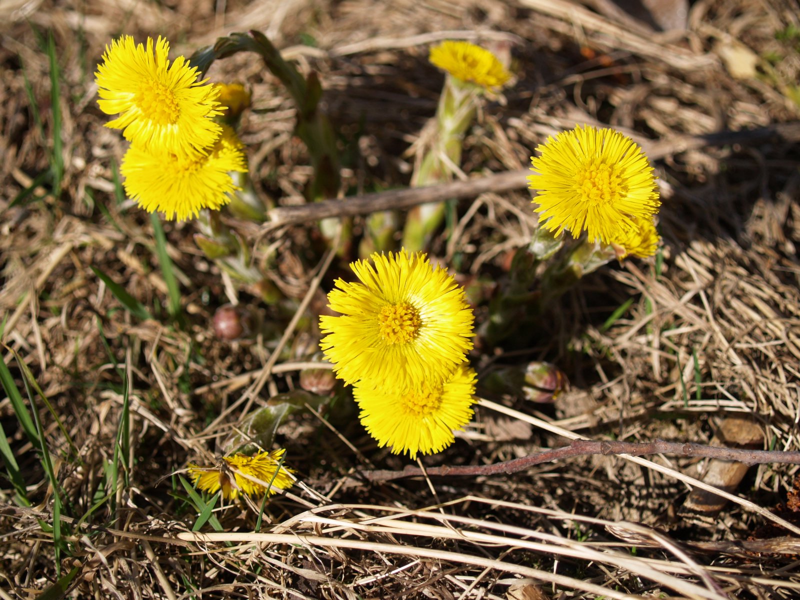 [P1018395.JPG]