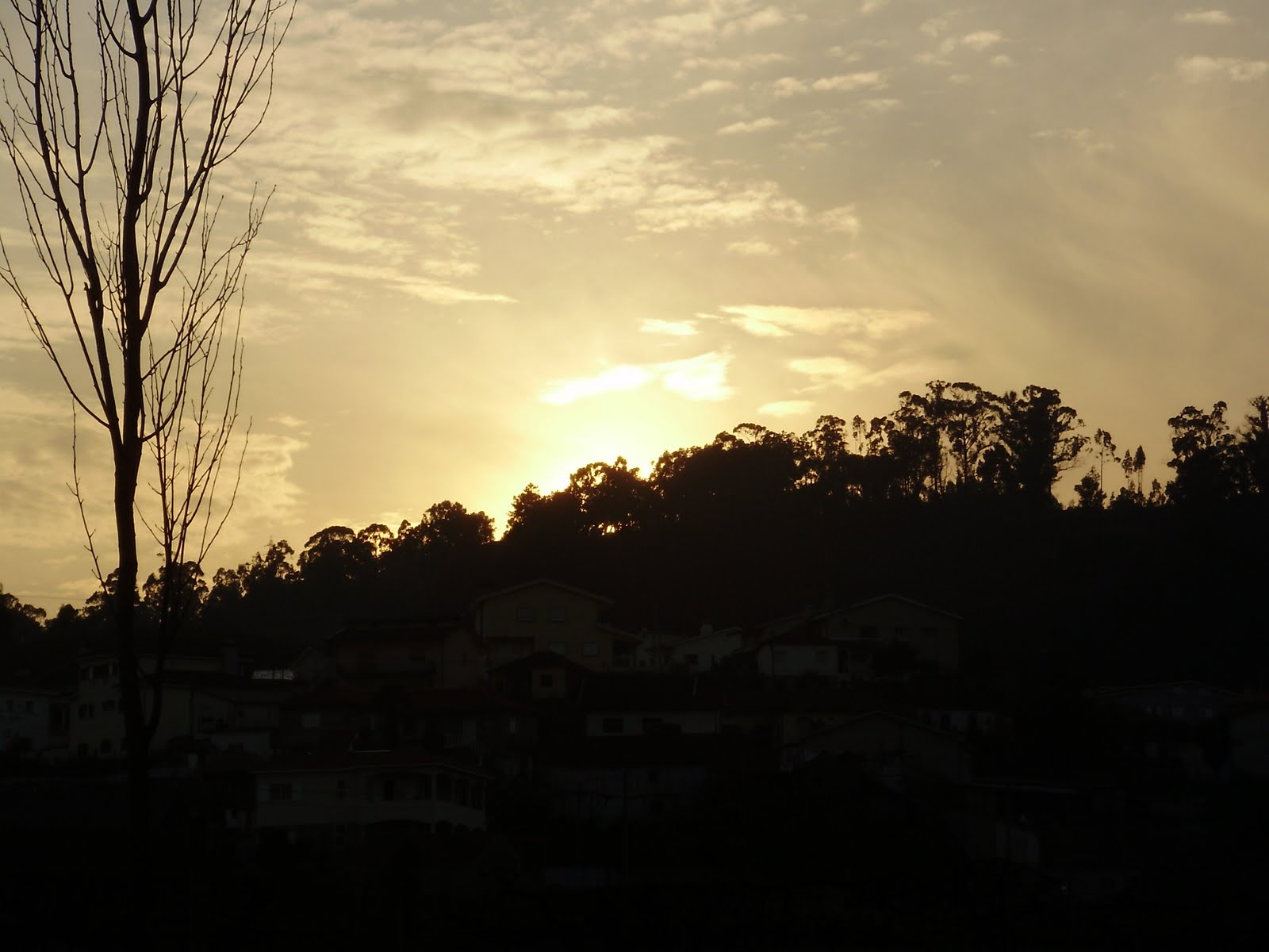 [P2240233.JPG]