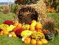 [cornucopia.jpg]
